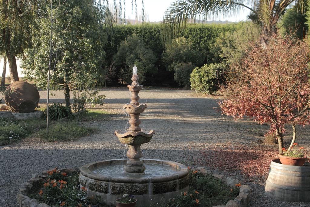 Hotel Posada Colchagua Santa Cruz Dış mekan fotoğraf